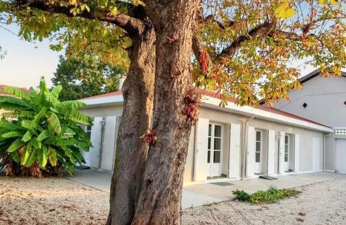 La Ville-Dieu-du-Temple Casa | Maison confortable avec piscine près de La Ville-Dieu