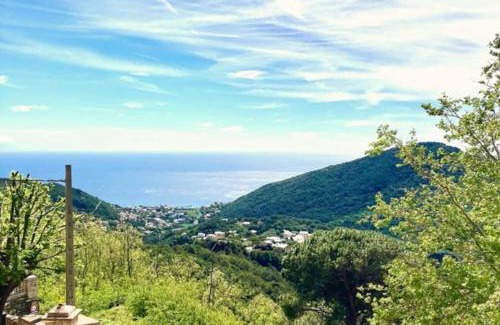 Figarella Apartamento | Maison d Americain a Figarella au Cap Corse