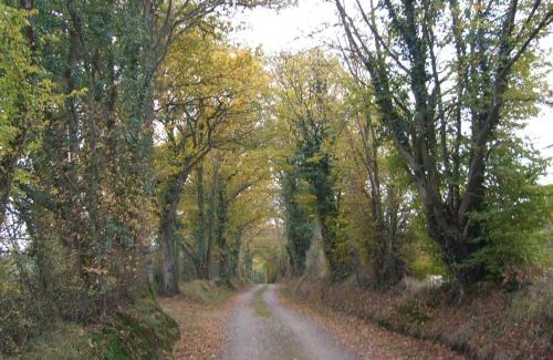 Berfay Casa | Maison de campagne avec grand jardin, cheminée, vélos et wifi à Berfay - FR-1-410-242