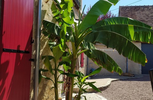 Villerbon Casa | Maison de Campagne