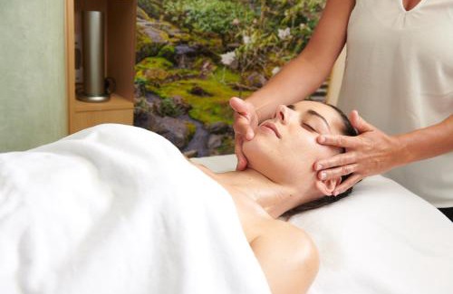 Vannes Cama Y Desayuno | Maison de la Garenne & Spa