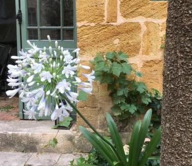 Castillon-la-Bataille Casa | Maison de Maître Elegia