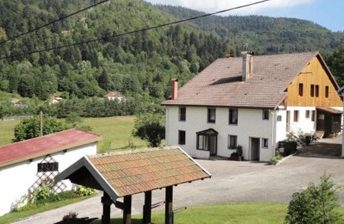 La Bresse Casa | Maison de Montagne à La Bresse, 2 Chambres, Confort et Activités, Garage, Wifi Inclus - FR-1-589-152