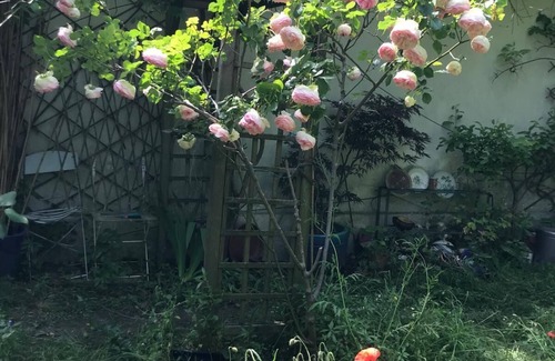 Saint-Denis Casa | Maison de Ville Calme Avec Jardin et Patio Pour Jusqu' à 9 Personnes