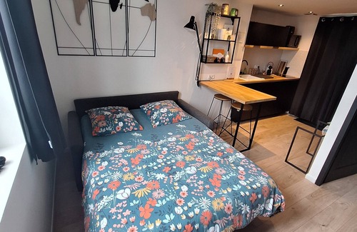 Trevoux Casa | Maison de Ville Climatisée "Le Figuier" Tout Confort