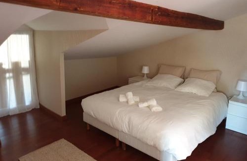 Thonon-les-Bains Casa | Maison des pêcheurs vue lac a 50m du port dans quartier historique