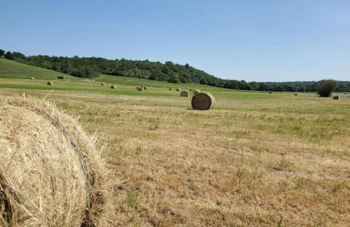 Loire Layon Aubance Casa | Maison du Domaine (Gîte)