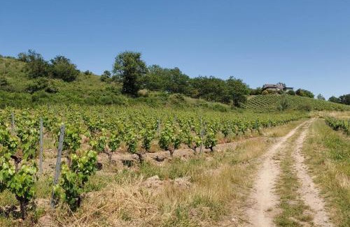 Loire Layon Aubance Casa | Maison du Domaine (Gîte)
