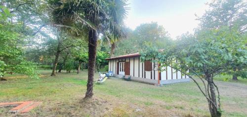 Uza Casa | Maison en forêt, calme, proche village et piste cyclable - meublé 3 étoiles