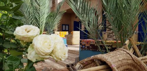 Gheris El Ouloui Casa | Maison La Berberina