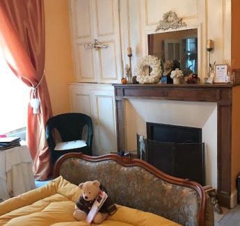Saint-Sauveur-en-Puisaye Cama Y Desayuno | Maison Marthe B & B