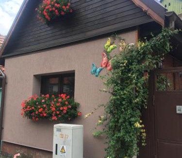 Brasov Casa | Maison Rosmina