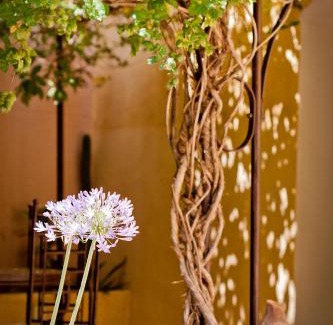 Besse-sur-Issole Cama Y Desayuno | Maison Saint Louis avec Jacuzzi