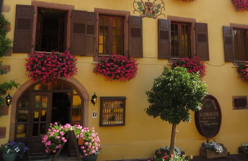 Saint-Hippolyte Apartamento | MAISON SIMMLER