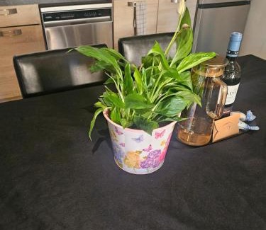 Elne Casa | Maison Soleil - Elne