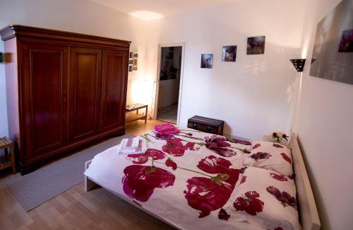 Marengo - Jolimont Apartamento | Maison Toulousaine avec jardin