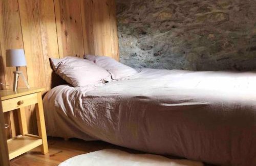 Peyragudes Chalet De Esquí | Maison typique rénovée 4 CHBR lac d'Oô Peyragudes