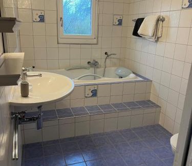 Faoug Casa | Maison Verdeau Ferien am Murtensee