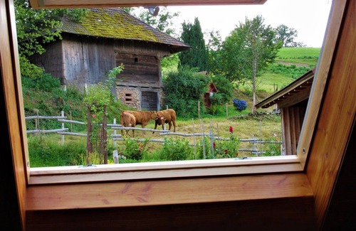 Elzach Apartamento | Maisonette vacation apartment with 104sqm in the countryside, 1 bedroom, max. 2 persons, ecologically oriented