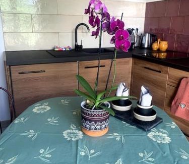 Sainte-Anne Apartamento | Maisonnette de Jardin