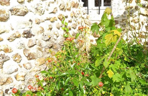 Saint-Christophe Casa | Maisonnette indépendante au bord du loir
