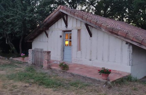 Campagne Casa | Maisonnette vue sur forêt