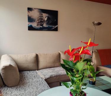 Bistrica Apartamento | Maja Apartment
