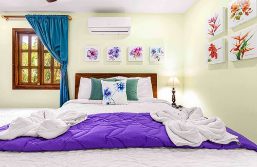 El Fosforo Complejo | Majestic Lodge 10-bedroom Resort in La Fortuna, Sleeps 33 AC, WiFi, fitness room