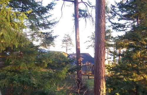 Powell River Casa | Malaspina Strait Cottage