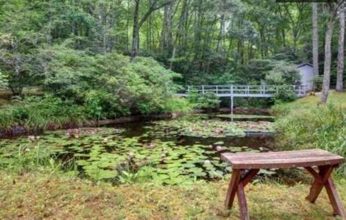 Lake Sequoyah Casa | Mama Bear's Cottage