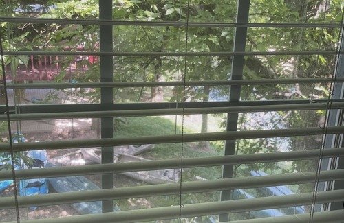 Olivehill Cabina | Mama Bears Cozy Creekside Cabin at Up The Creek