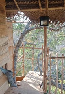 Palatupana Hotel | Mamba Yala