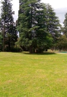 Greater Johannesburg Metropolitan Area Apartamento | Man and Dog Log Cabin