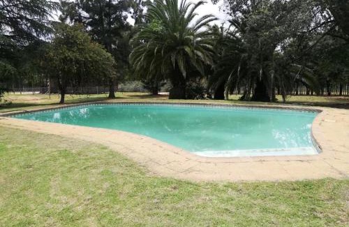 Greater Johannesburg Metropolitan Area Apartamento | Man and Dog Log Cabin