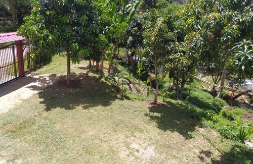 Curiti Casa | MANANTIAL DE VIDA ETERNA