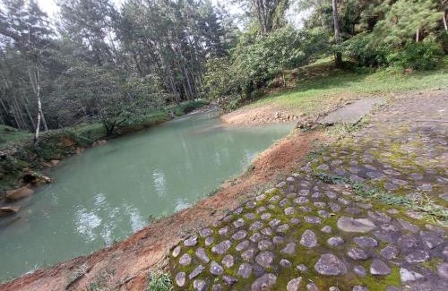 Cerro Azul Cabina | Mandalas Ecolodge Ecotourismo Altos Cerro Azul, Rain Forest Natural,Chagres National Park