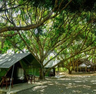 Udawalawa Casa | Mango Safari Camping Udawalawe