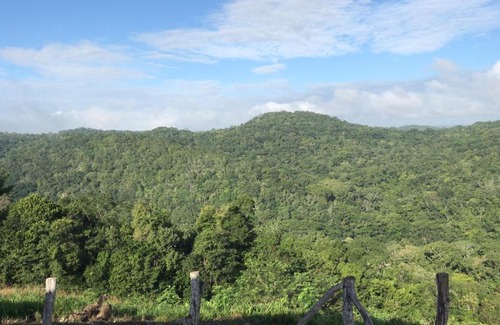 San Ignacio Casa | Mango Walk Inn