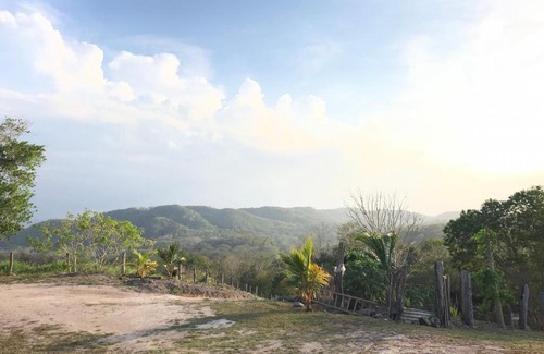 San Ignacio Casa | Mango Walk Inn