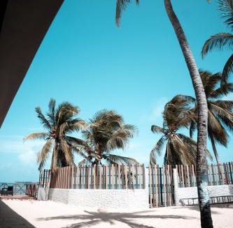 San Andres Hotel | Mangrove Bay Hotel San Andrés Islas