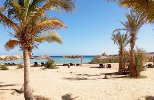 El Quseir Complejo | Mangrove Bay Resort