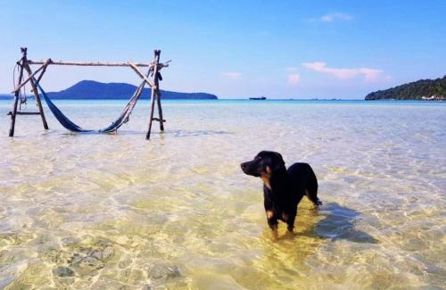 Koh Rong Sanloem Cabina | Mangrove Beach Bungalows