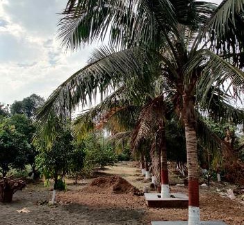 Karjat Casa | Manisha farm