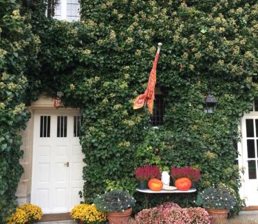 Vineuil-Saint-Firmin Cama Y Desayuno | Manoir des Cavaliers - BnB