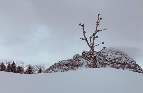 Courmayeur Apartamento | mansardacourmayeur