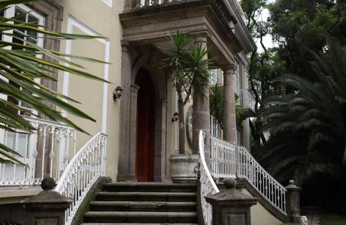 Coyoacan Cama Y Desayuno | Mansión Papilio