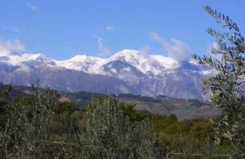 Bomba Apartamento | Mansión - Bomba