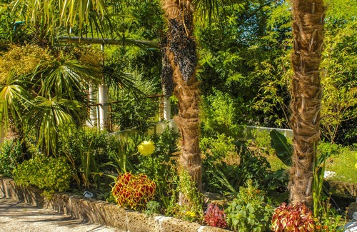 Bussolengo Apartamento | Manticus 2 Barbecue y Bosco sul Fiume - km: Verona 10-Valpolicella 9-Garda13