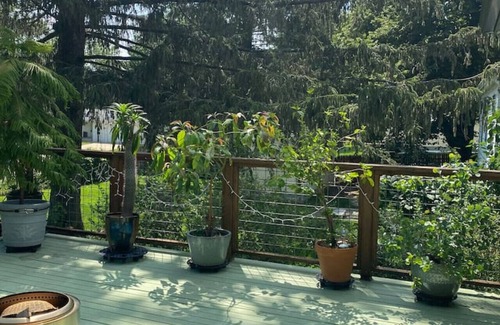 Viroqua Casa | Maple St. Eco Retreat-Free Daytime EV Charging!