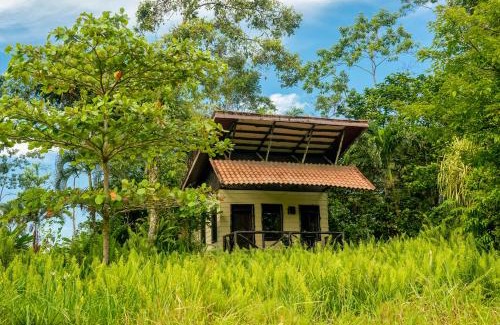 Chilamate Cabina | Maquenque Ecolodge